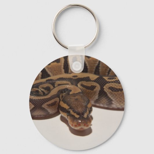 Ghost Ball Python Sleutelhanger (Voorkant)