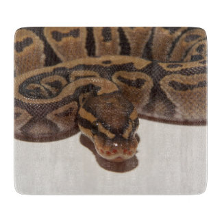 Ghost Ball Python Snijplank