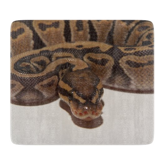 Ghost Ball Python Snijplank (Voorkant)