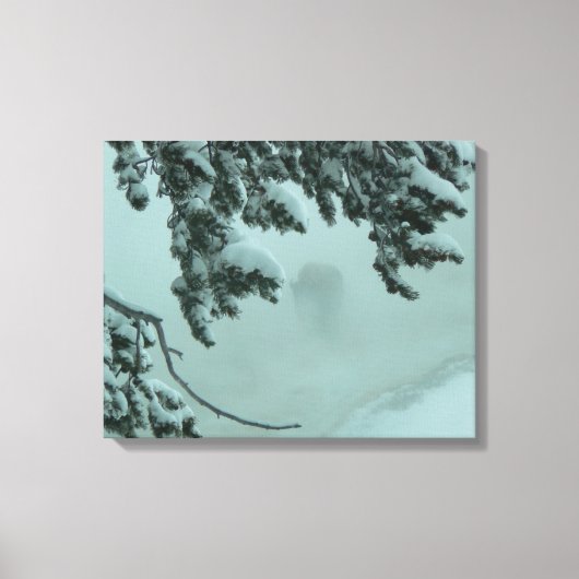 Ghost Buffalo Canvas Afdruk (Voorkant)