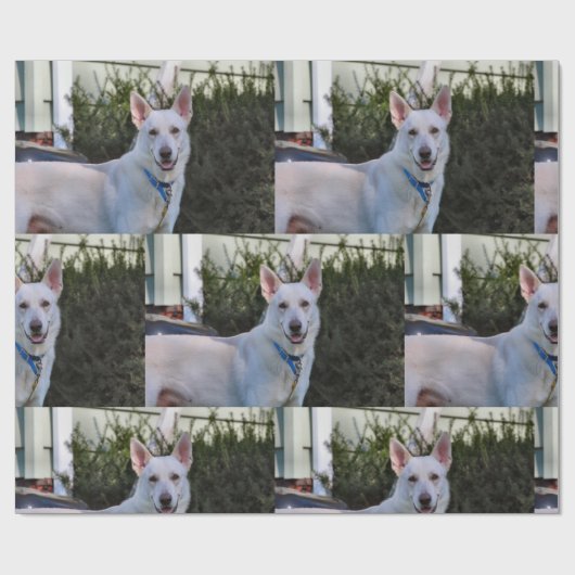 Ghost Cadeaupapier (Vlak)