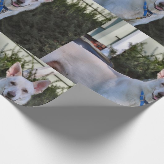 Ghost Cadeaupapier (Hoek)