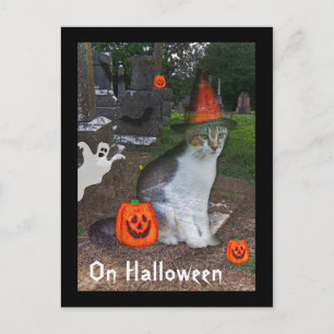 Ghost Cat Briefkaart