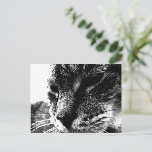 Ghost Cat Briefkaart (Staand voorkant)