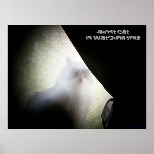 Ghost Cat Is Watching You Poster (Voorkant)
