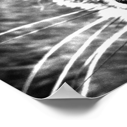 Ghost Cat Poster (Hoek)