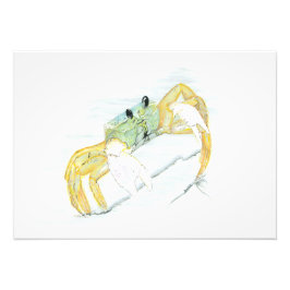 Ghost Crab  Foto Afdruk