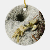 Ghost Crab OBX North Carolina Fotografisch Keramisch Ornament (Voorkant)