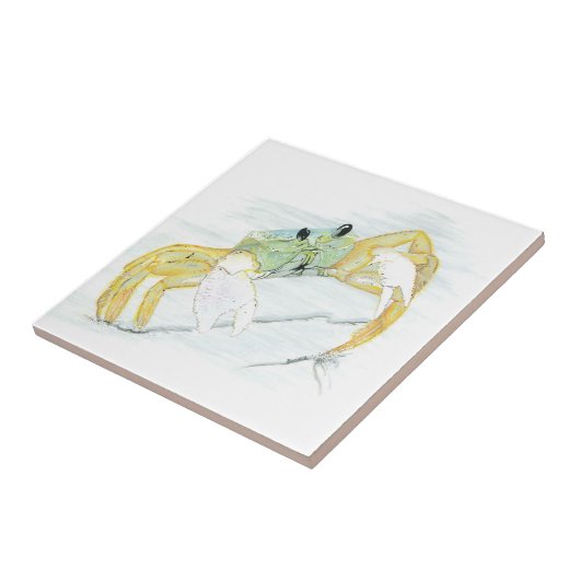 Ghost Crab op het strand Tegeltje (Zijkant)