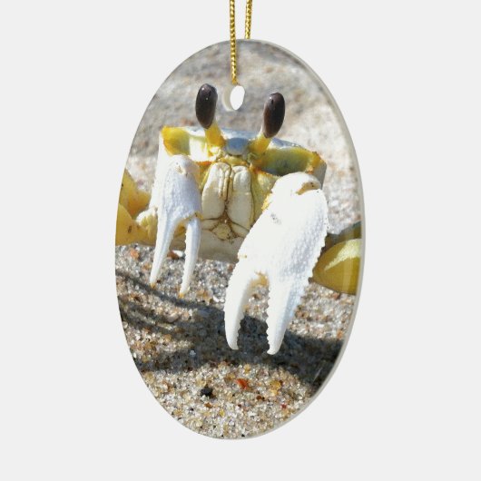 Ghost Crab Surprise Keramisch Ornament (Links)