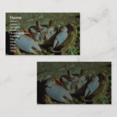 Ghost Crab Visitekaartje (Voorkant / Achterkant)