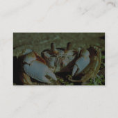 Ghost Crab Visitekaartje (Achterkant)