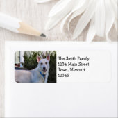 Ghost Etiket (Insitu)