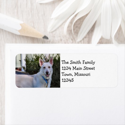 Ghost Etiket (Insitu)