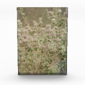 Ghost Flower Fotoblokken (Voorkant)