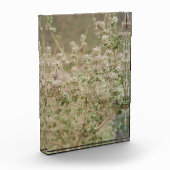 Ghost Flower Fotoblokken (Links)