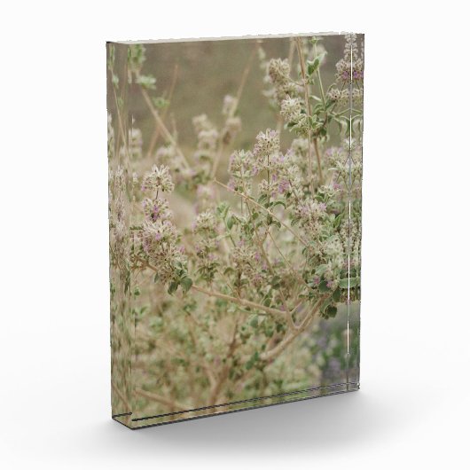 Ghost Flower Fotoblokken (Links)