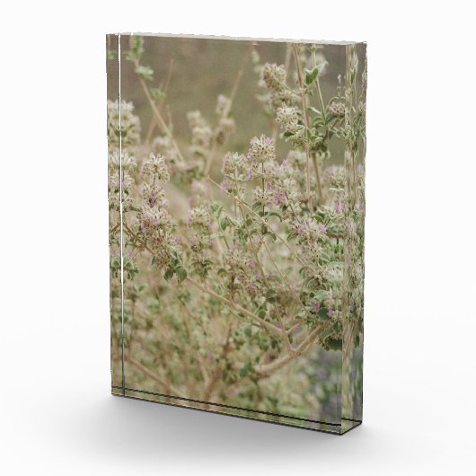 Ghost Flower Fotoblokken (Rechts)