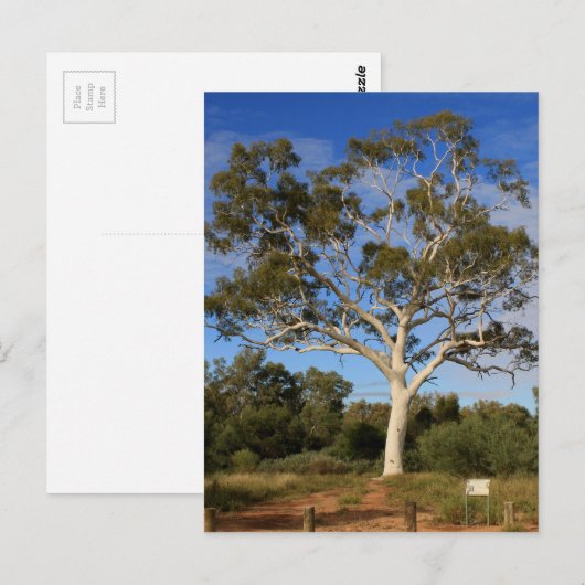 Ghost gum tree, Outback Australia Briefkaart (Voorkant / Achterkant)