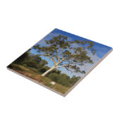 Ghost gum tree, Outback Australia Tegeltje (Zijkant)