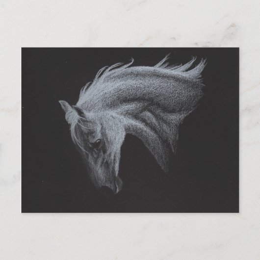 Ghost Horse Collectie Briefkaart (Voorkant)