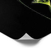 Ghost Horse Poster (Hoek)