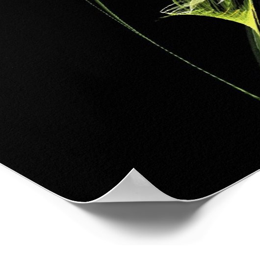 Ghost Horse Poster (Hoek)