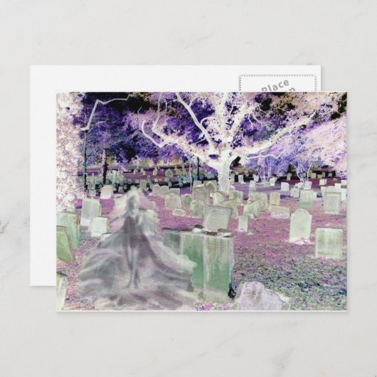 Ghost in het kerkhof briefkaart (Voorkant / Achterkant)