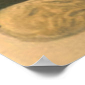 Ghost Jack O Lantern Black Cat Elves Poster (Hoek)