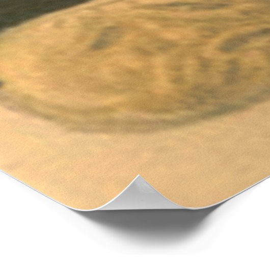 Ghost Jack O Lantern Black Cat Elves Poster (Hoek)