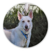 Ghost Keramische Knop (Voorkant)