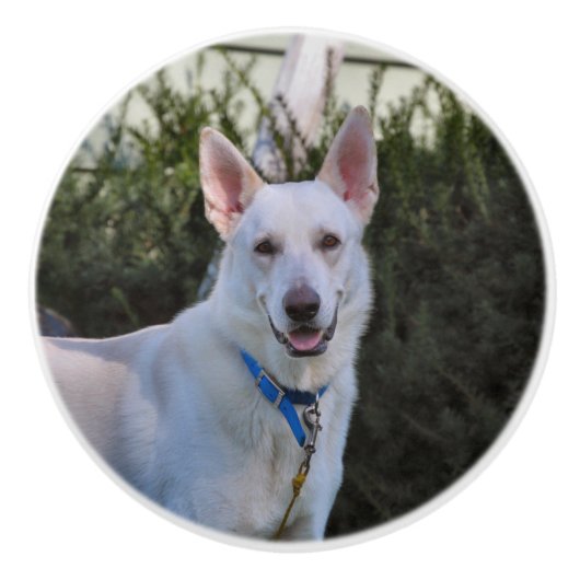 Ghost Keramische Knop (Voorkant)