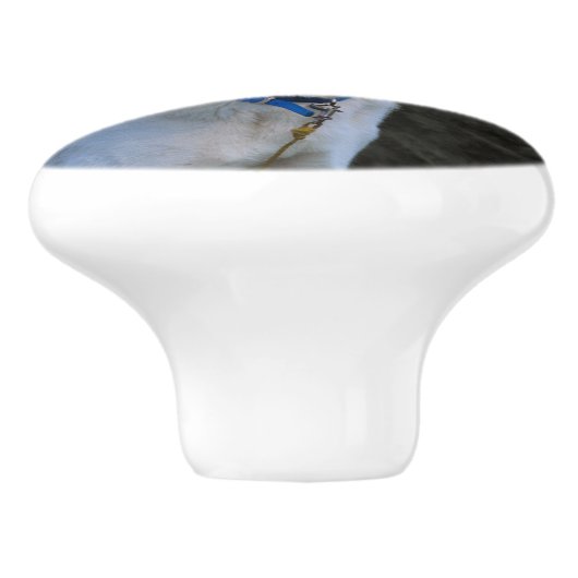 Ghost Keramische Knop (Zijkant)