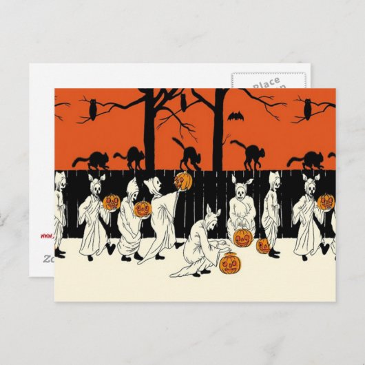 Ghost Kostuum Jack O Lantern Black Cat Owl Bat Briefkaart (Voorkant / Achterkant)