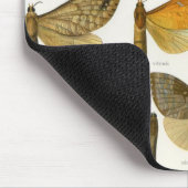 Ghost Moths Muismat (Hoek)