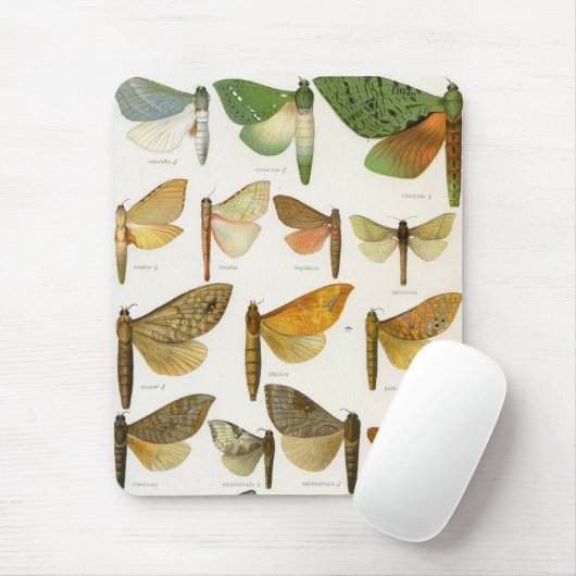 Ghost Moths Muismat (Met muis)