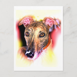Ghost of a greyhound dog briefkaart