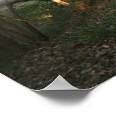 Ghost of Bellamy Bridge Print (Hoek)