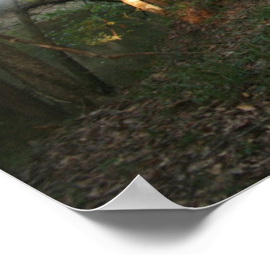 Ghost of Bellamy Bridge Print (Hoek)