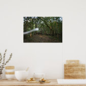 Ghost of Bellamy Bridge Print (Keuken)