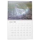 Ghost of the Bossen: The White Deer Kalender (Jan 2026)