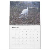Ghost of the Bossen: The White Deer Kalender (Mar 2027)