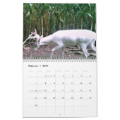 Ghost of the Bossen: The White Deer Kalender (Feb 2027)