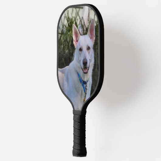 Ghost Pickleball Paddle (Links)
