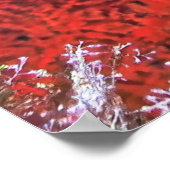  Ghost Pipefish Poster (Hoek)