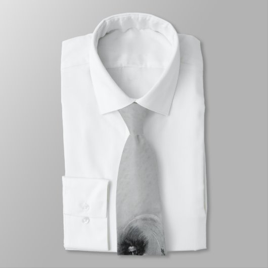 Ghost Pirate Stropdas (Gebonden)