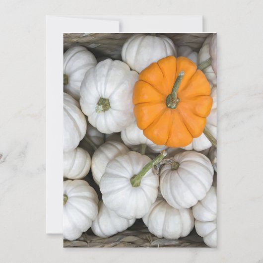 Ghost Pumpkins met een gulzige oranje Kaart (Voorkant)