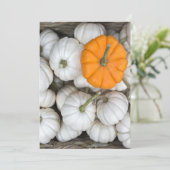 Ghost Pumpkins met een gulzige oranje Kaart (Staand voorkant)