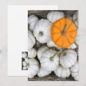 Ghost Pumpkins met een gulzige oranje Kaart (Voorkant / Achterkant)