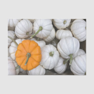 Ghost Pumpkins met een gulzige oranje Tissuepapier